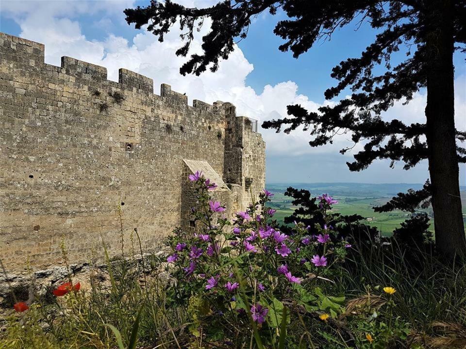 Casetta Di San Martino Таркуїнія Екстер'єр фото